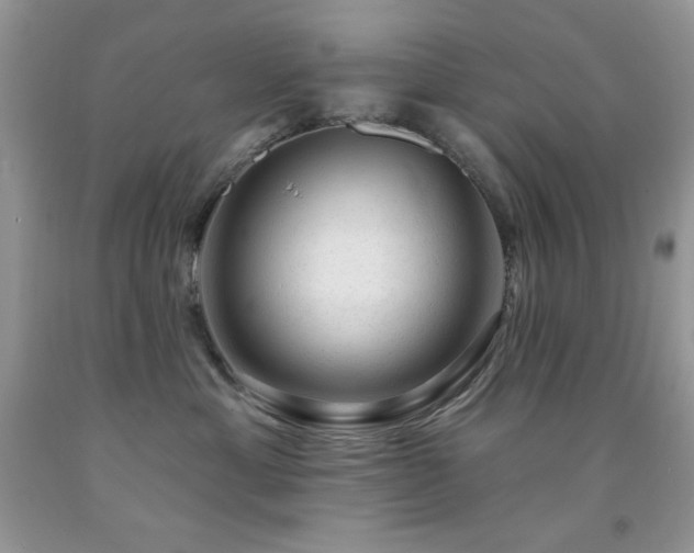 X0000092300429200709141324