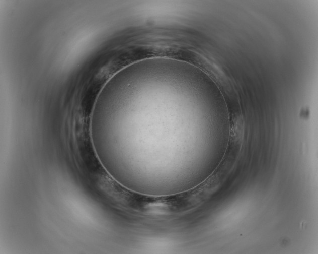 X0000092300430200709141324