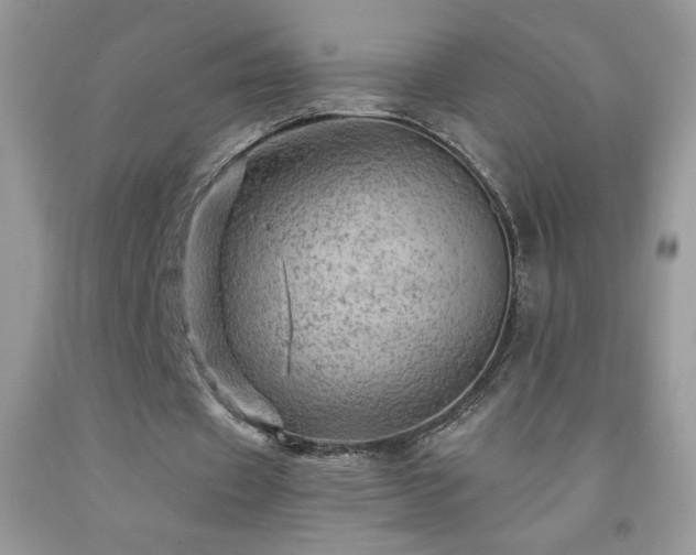 X0000092300433200709141323