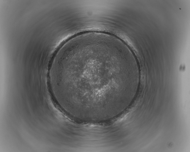 X0000092300434200709141323