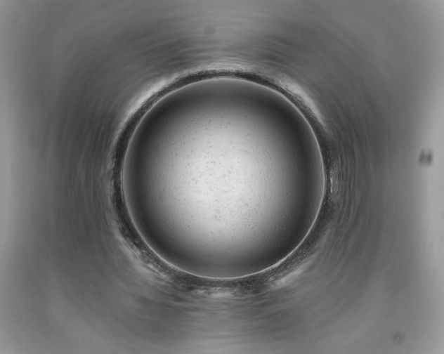 X0000092300436200709141323