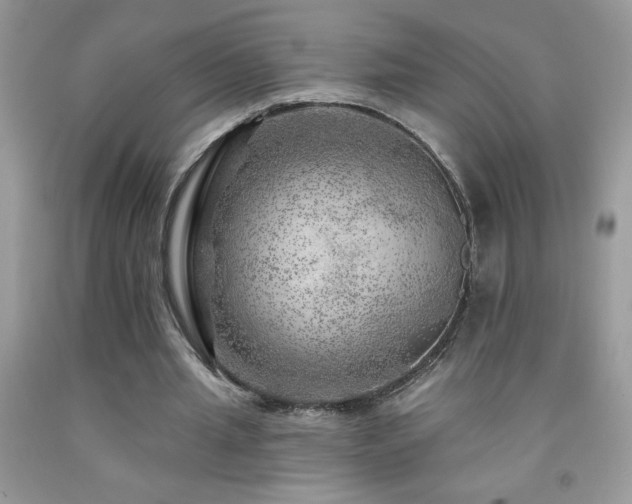 X0000092300437200709141323
