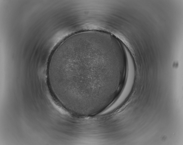 X0000092300438200709141323