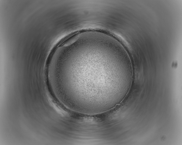 X0000092300439200709141323