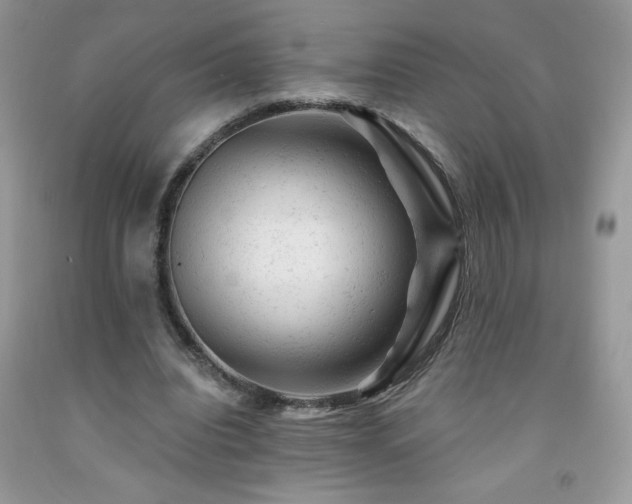 X0000092300440200709141323