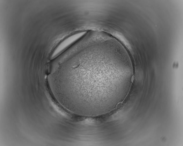 X0000092300441200709141323