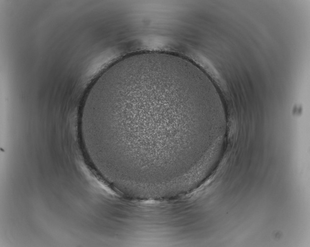 X0000092300442200709141323