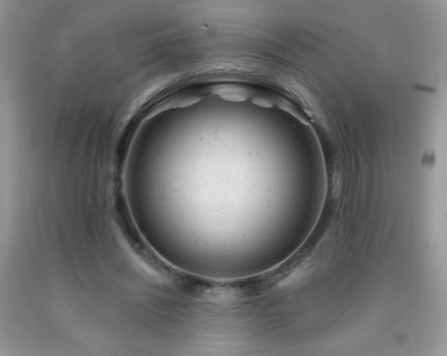 X0000092300444200709141323