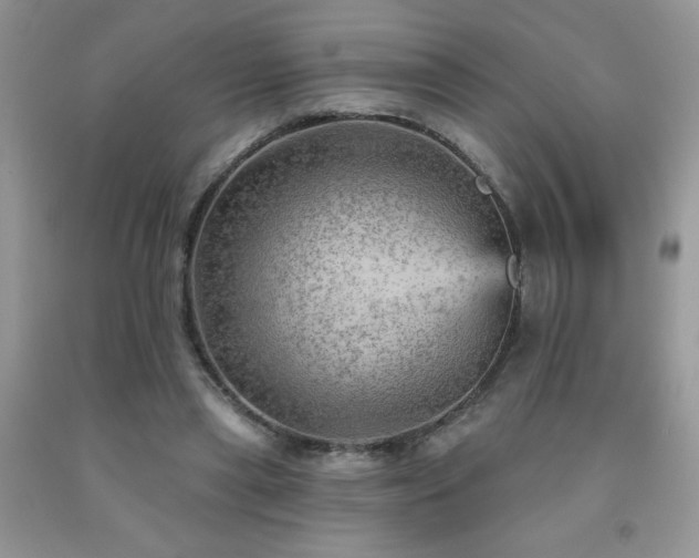 X0000092300445200709141323