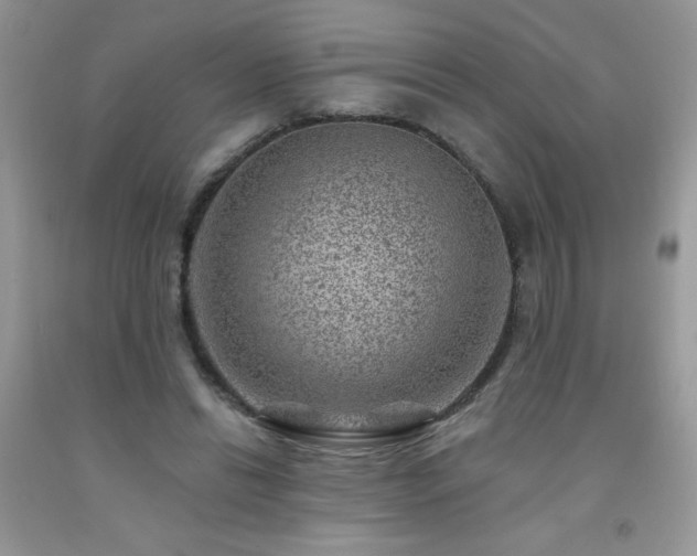 X0000092300446200709141323