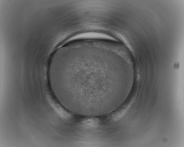 X0000092300447200709141323