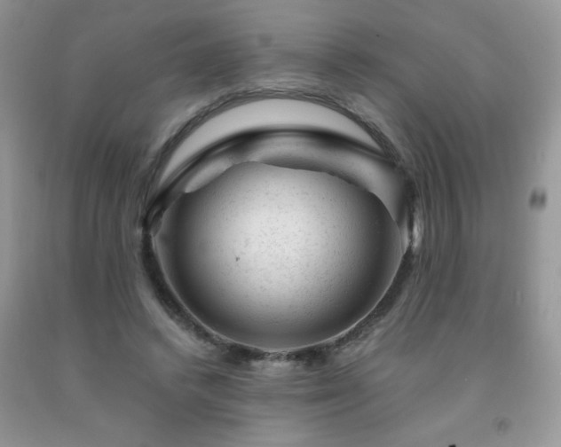 X0000092300448200709141323