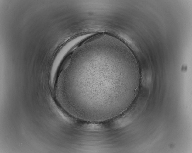 X0000092300449200709141323