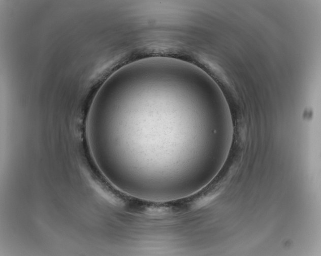 X0000092300450200709141323