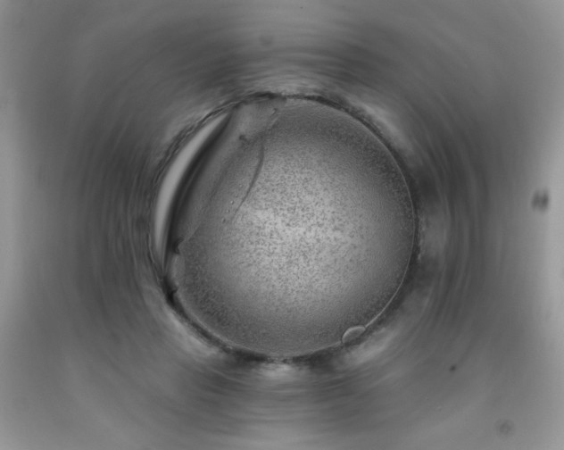 X0000092300453200709141323