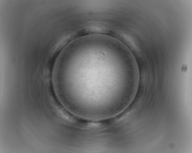 X0000092300457200709141323