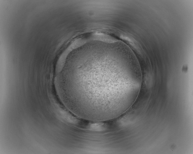 X0000092300461200709141323