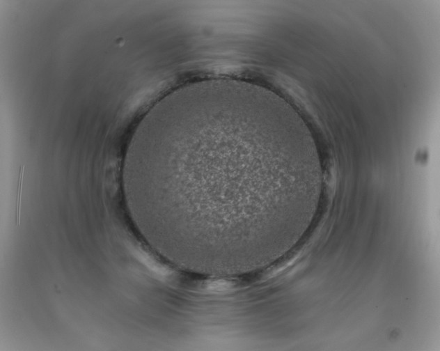 X0000092300462200709141323