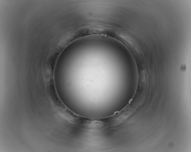 X0000092300463200709141323