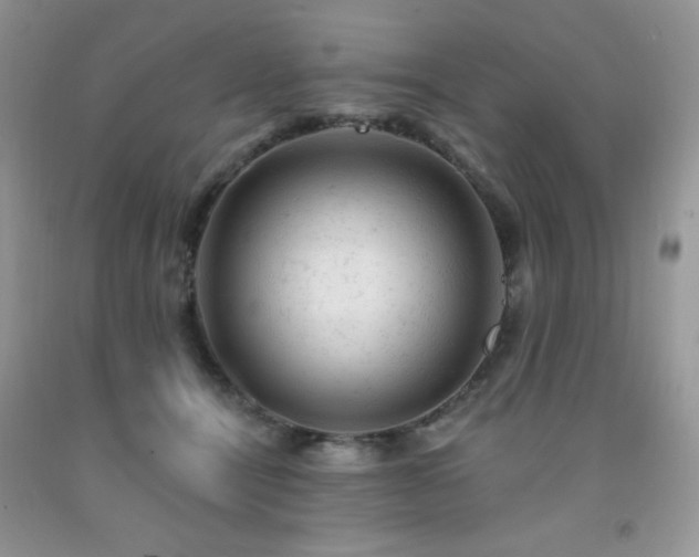 X0000092300464200709141323