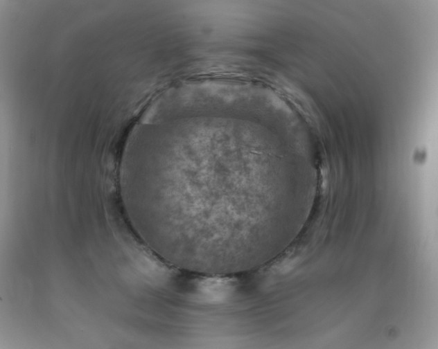 X0000092300465200709141323