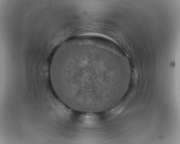 X0000092300466200709141323