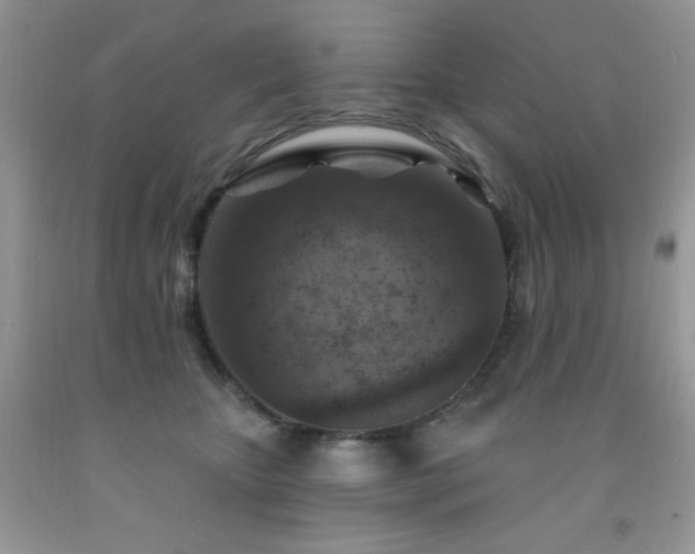 X0000092300467200709141323