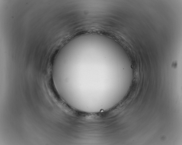 X0000092300468200709141324