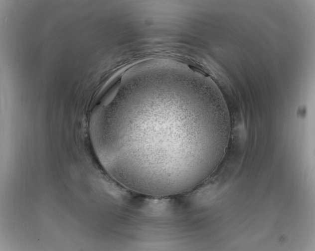 X0000092300469200709141324