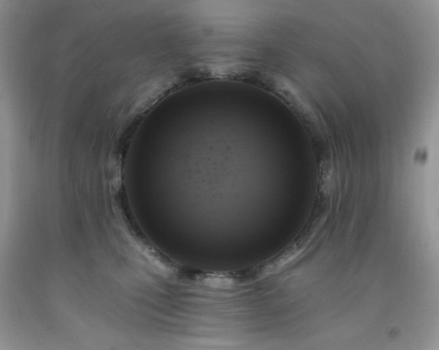X0000092300471200709141324