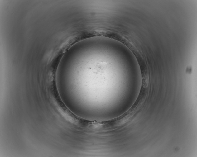 X0000092300472200709141324