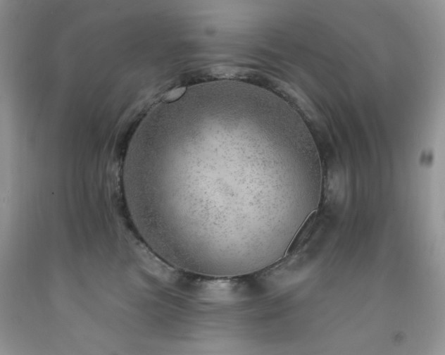 X0000092300473200709141324