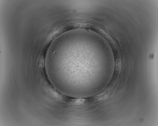 X0000092300474200709141324