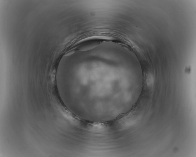 X0000092300475200709141324