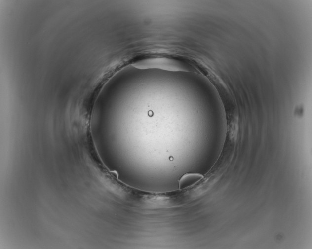 X0000092300476200709141324