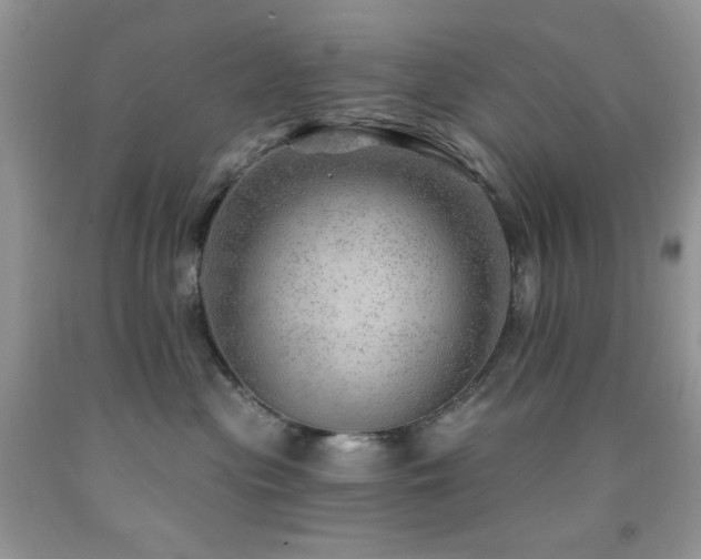 X0000092300477200709141324