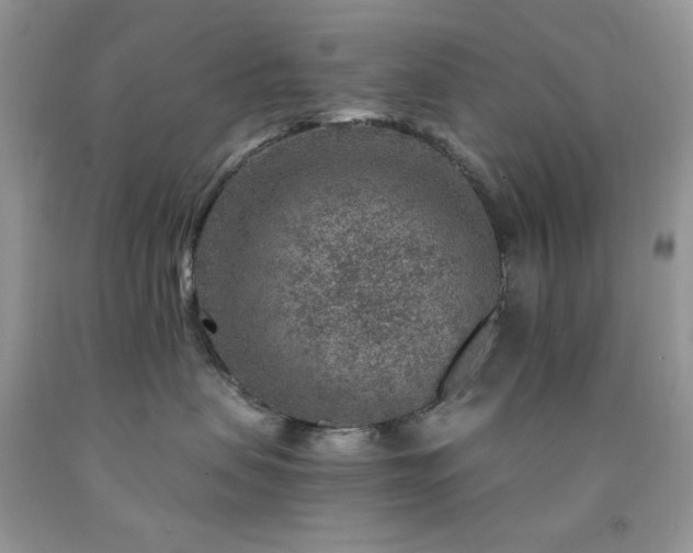 X0000092300479200709141324