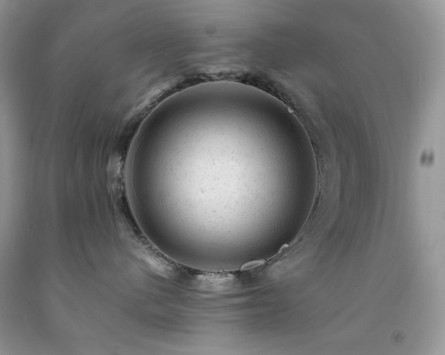 X0000092300480200709141324