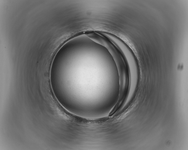 X0000092300481200709141323