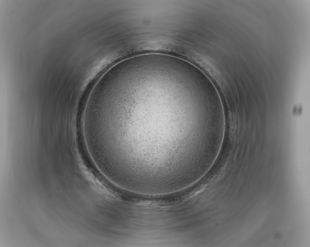 X0000092300482200709141323