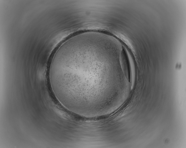 X0000092300483200709141323