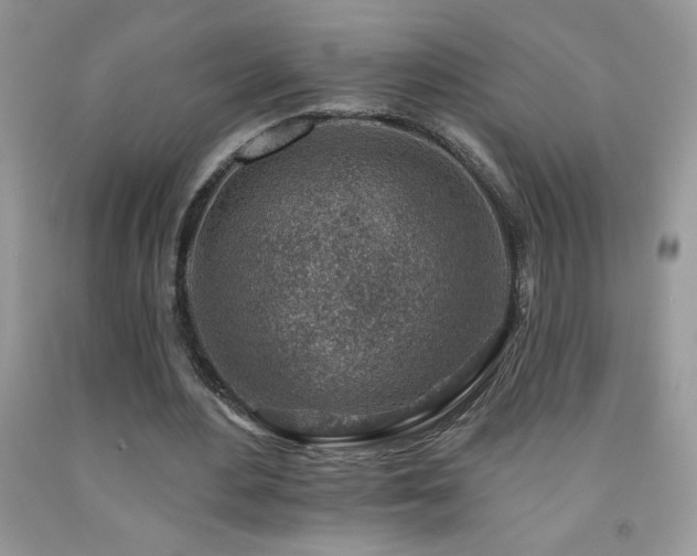 X0000092300484200709141323