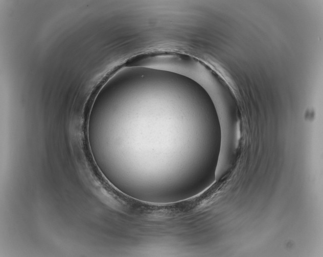 X0000092300485200709141323