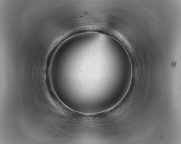X0000092300486200709141323