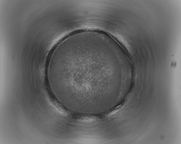 X0000092300488200709141323