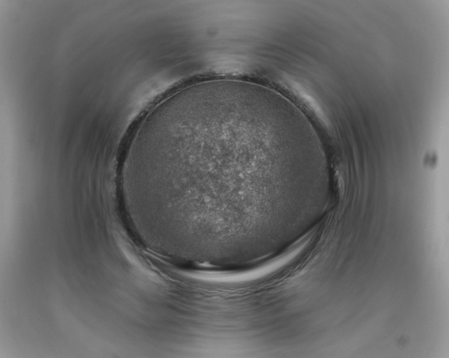 X0000092300492200709141323