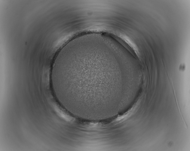 X0000092300493200709141323