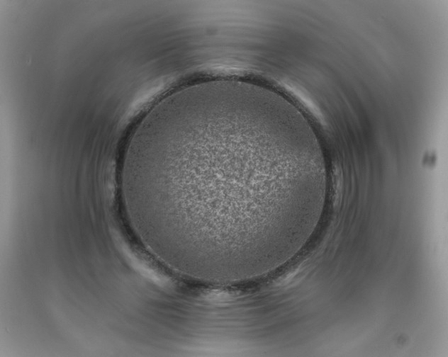 X0000092300494200709141323