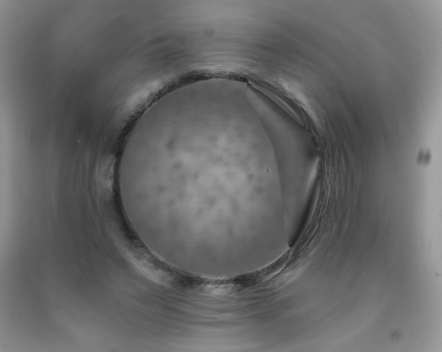 X0000092300495200709141323