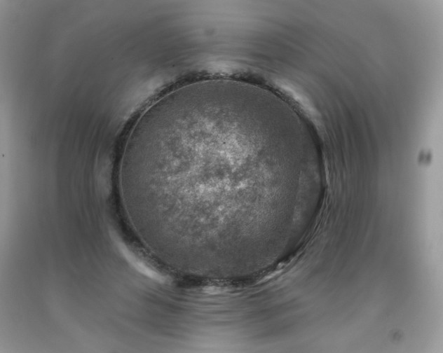 X0000092300496200709141323